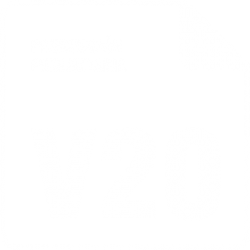 VEINTE20
